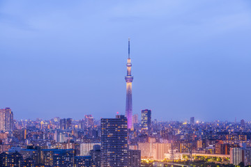 Beautiful panorama view of Tokyo city in evening