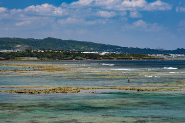 沖縄　サンゴ礁の釣り