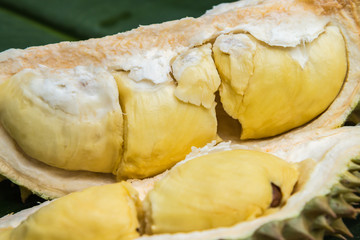 Durian