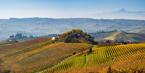 Fototapeta premium Vista panoramica delle colline e dei vigneti delle Langhe in autunno
