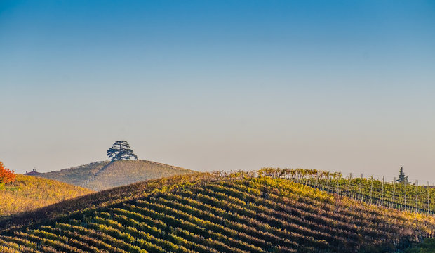 Vista panoramica delle colline e dei vigneti delle Langhe in autunno