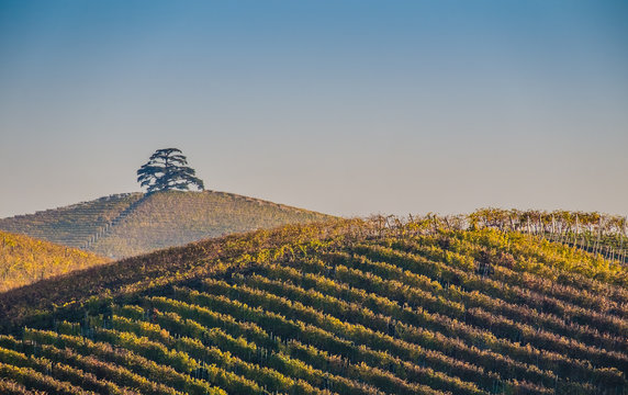 Vista panoramica delle colline e dei vigneti delle Langhe in autunno