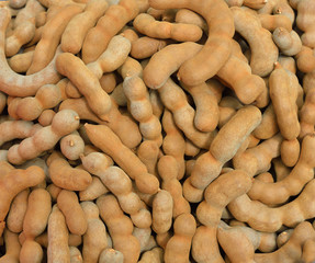 Close-up group of ripe tamarind pods