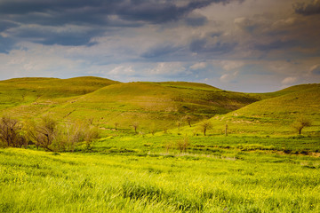 Fototapeta premium Iraqi landscape in spring season