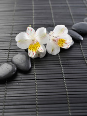 Obraz na płótnie Canvas spa stones with white orchid on bamboo mat