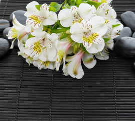 Black stones with branch white orchid on bamboo mat