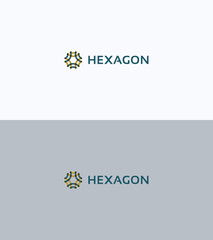 Hexagon logo