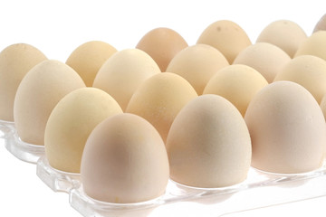 Eggs/Eggs in package isolated on white background.