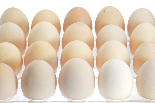 Eggs/Eggs in package isolated on white background.