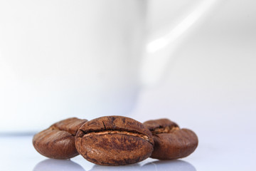 Fresh coffee beans on white Background
