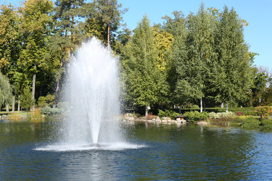 Lake in Summer park