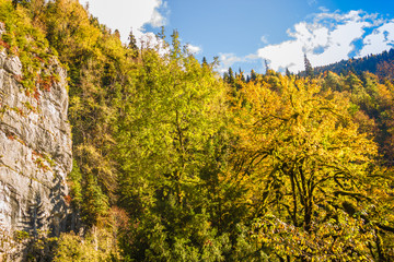Fototapeta premium Natural landscape of Abkhazia