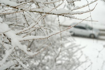 Schneebedeckte Straße