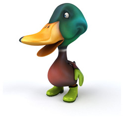 Fun duck