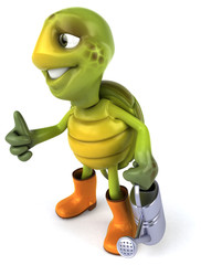 Fun turtle