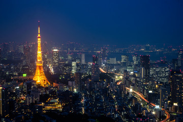 Naklejka premium Tokyo night cityscape