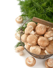 Royal mushrooms in a basket