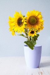 Sunflowers against light blue background