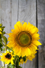 Sunflowers against rustic wood background