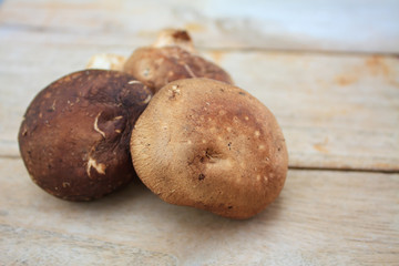 Shitake mushroom on wooden table