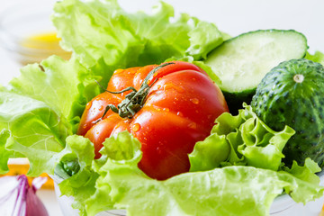 Selection of fresh vegetables
