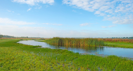 Fototapeta na wymiar Shore of a lake below a blue cloudy sky in autumn