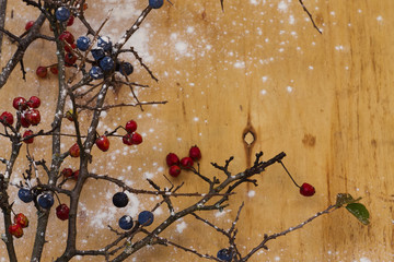 branches with red and blue berries on a blurred background