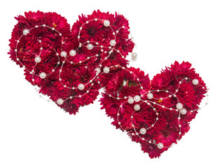 Two red heart from chrysanthemum flowers