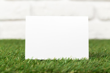 Blank business cards on grass