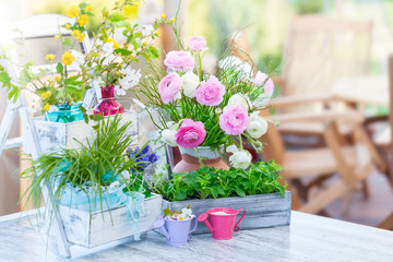 Spring on the terrace