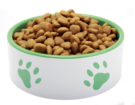 Hundefutter in einem Hundenapf