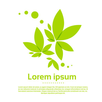 Tree Logo Icon with Green Leaves Vector