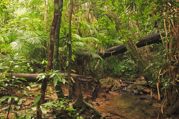 Klong Jark waterfall, Island Koh Lanta, Thailand 
