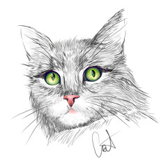 Portrait of the grey cat - 95250172