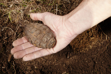 Unexploded grenade found in soil