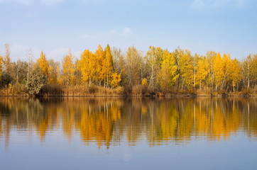 Fototapeta na wymiar Autumn forest on the bank of the river