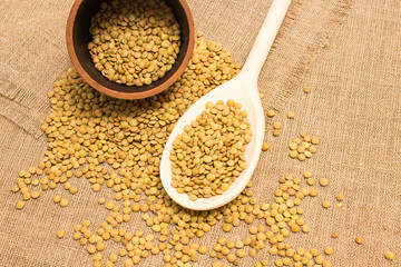 the seeds of green lentils on a canvas