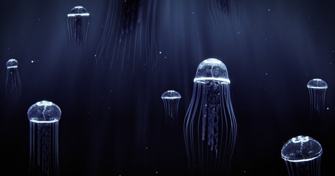 Jellyfish Swimming in Deep Dark Ocean 4k Loop Blue