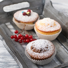 muffins
