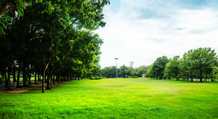 park in city landscape