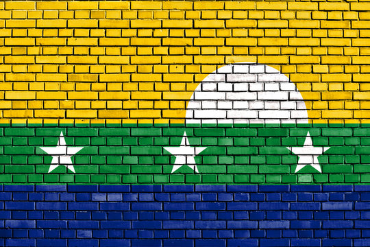 flag of Nueva Esparta State painted on brick wall