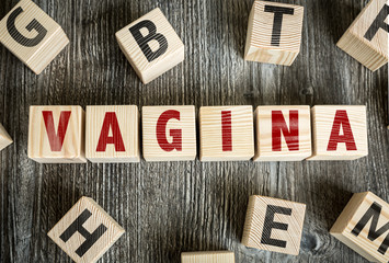 Wooden Blocks with the text: Vagina