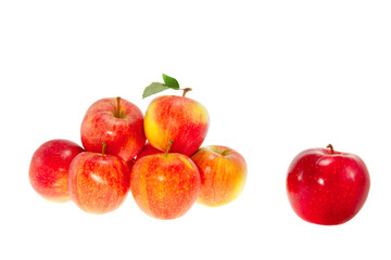 ripe red apples on a white background