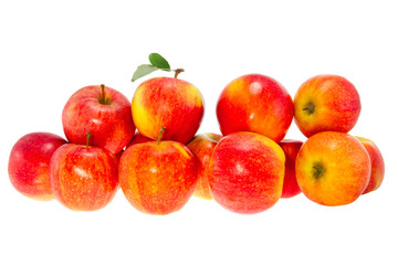  ripe red apples on a white background
