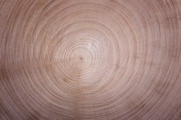 wood texture circles