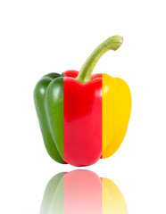 Yellow red and green Sweet bell pepper (capsicum)