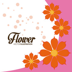 Flower of garden design 