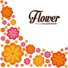 Flower of garden design 