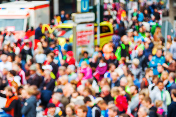 niedlicher Elo-Welpe sitzt im Herbstlaub