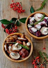 Fresh edible wild mushrooms